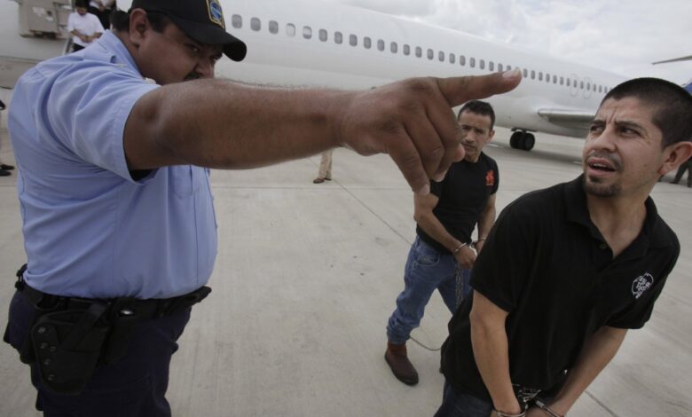 Deportation flights mexico immigration