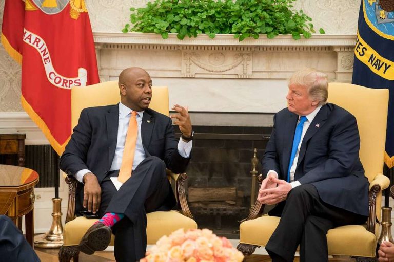 Tim scott to endorse trump