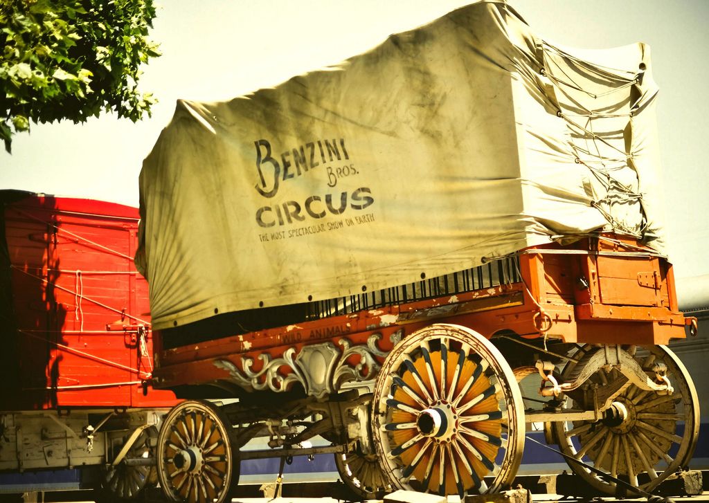 Water for elephants circus broadway