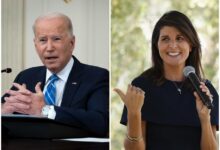 Trump haley biden election