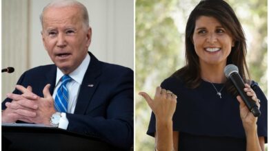 Trump haley biden election