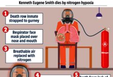 Nitrogen gas alabama executions