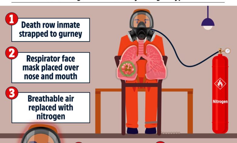 Nitrogen gas alabama executions