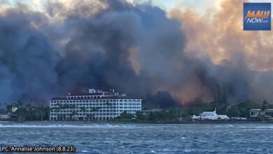 Maui wildfire lahaina 100 victims