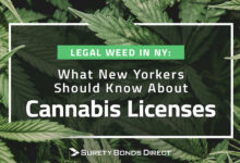 Legal marijuana new york weed