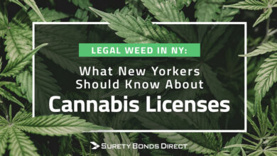 Legal marijuana new york weed