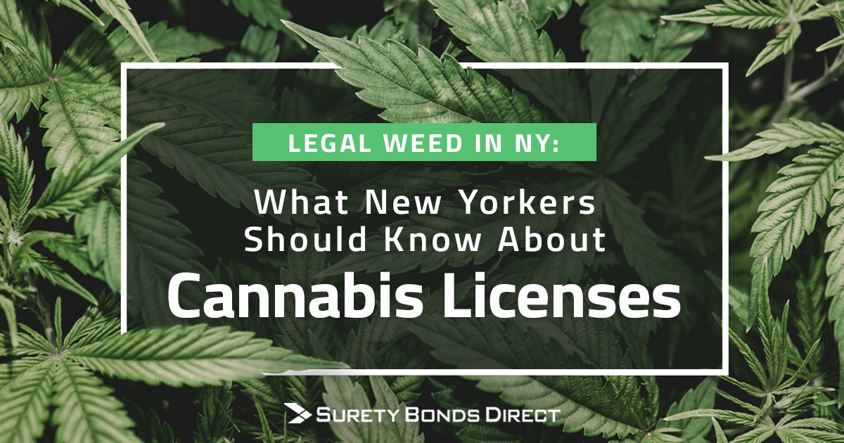 Legal marijuana new york weed