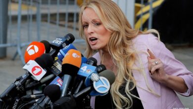 Trump hush money trial stormy daniels