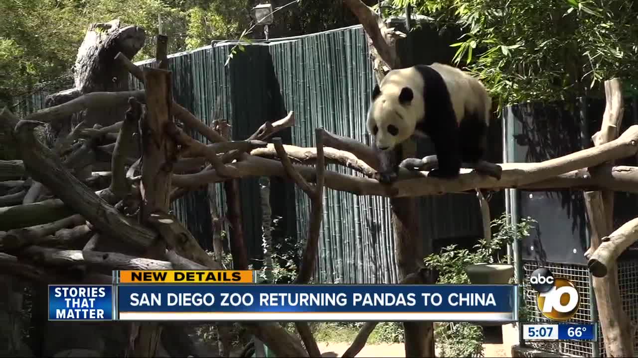 San diego zoo pandas china