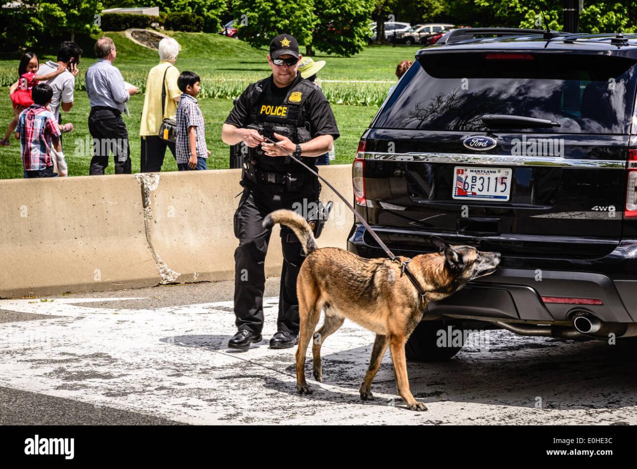 Dog secret service house white fence jumper today maria courtesy hurricane