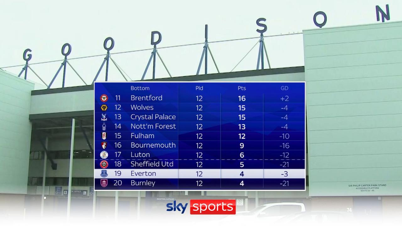 Everton premier league points deduction