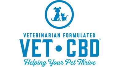 Animals veterinary cannabis marijuana cbd