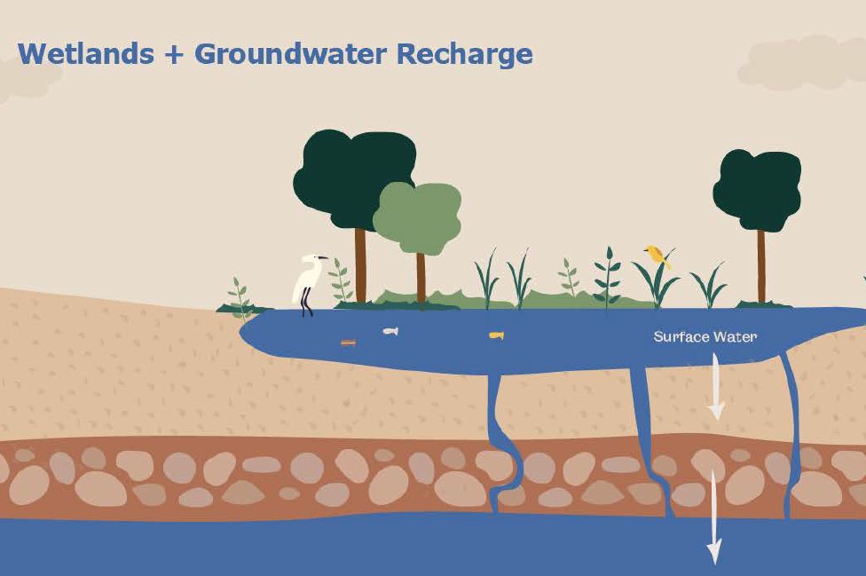 Global groundwater aquifer levels