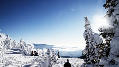 Ski wolf creek colorado