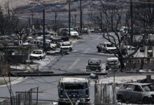 Maui fire investigation deaths