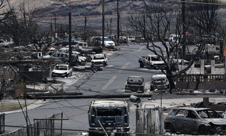 Maui fire investigation deaths