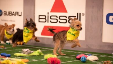 Culture desk puppy bowl