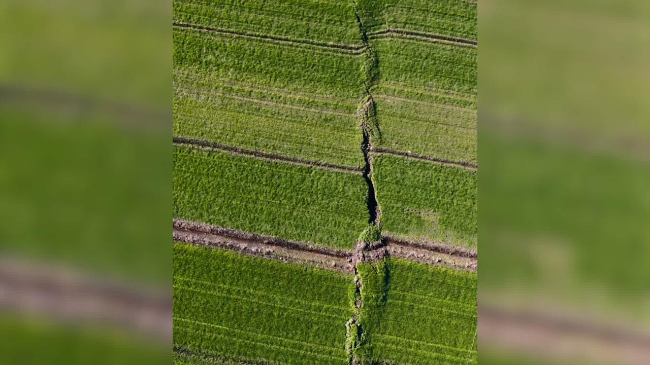 Word of the day temblor