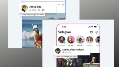 Meta ai standards labels
